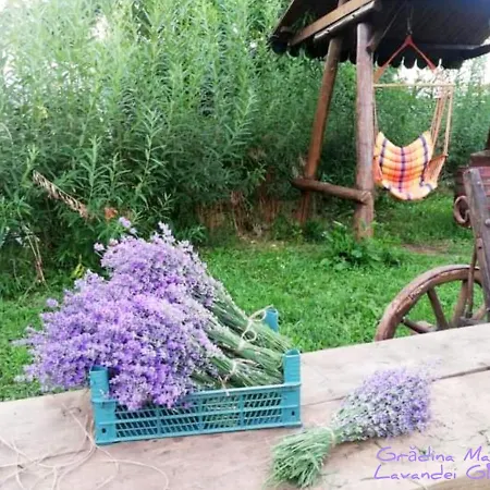 Gradina Magica A Lavandei Glamping Urlati