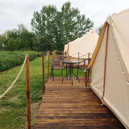 Gradina Magica A Lavandei Glamping