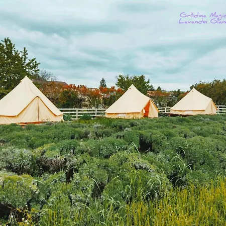 Cort de lux Gradina Magica A Lavandei Glamping