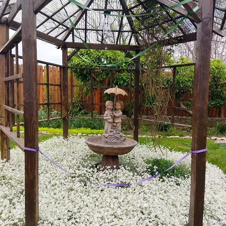 Gradina Magica A Lavandei Glamping Cort de lux Urlati