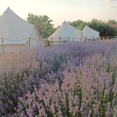 Gradina Magica A Lavandei Glamping