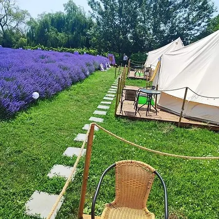 Gradina Magica A Lavandei Glamping *