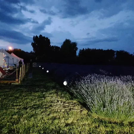 Gradina Magica A Lavandei Glamping *