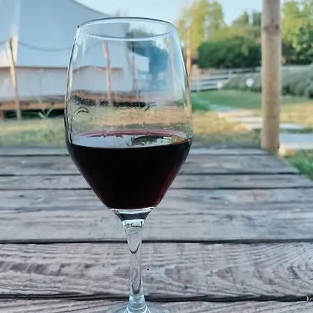 Cort de lux Gradina Magica A Lavandei Glamping Urlati