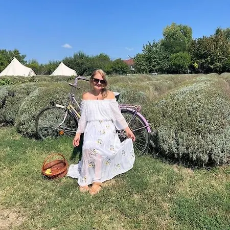 Gradina Magica A Lavandei Glamping Cort de lux *